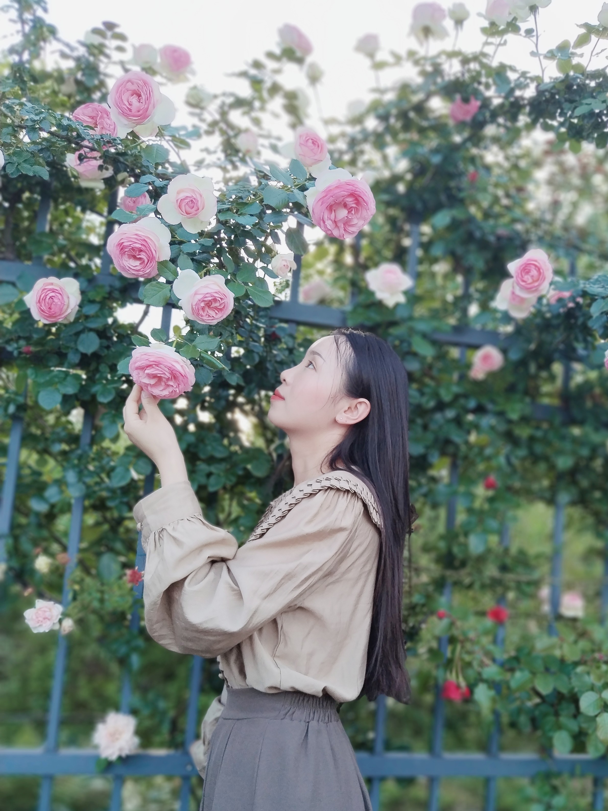 秦倩